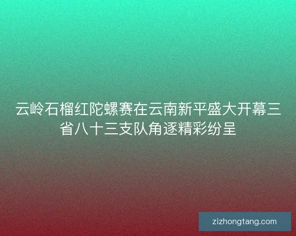 云岭石榴红陀螺赛在云南新平盛大开幕三省八十三支队角逐精彩纷呈
