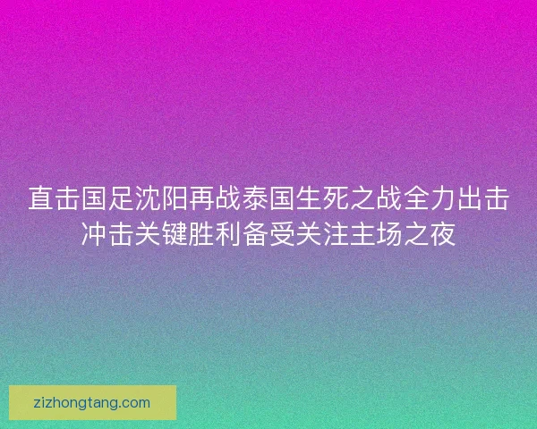 直击国足沈阳再战泰国生死之战全力出击冲击关键胜利备受关注主场之夜